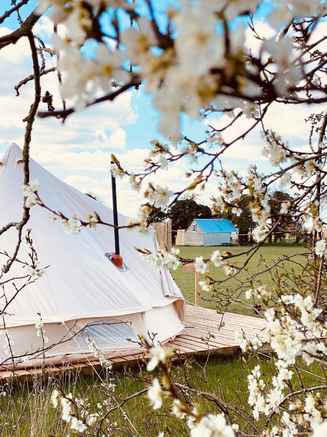 Fen Meadows Glamping - Luxury Cabins And Bell Tents Кембридж Екстер'єр фото
